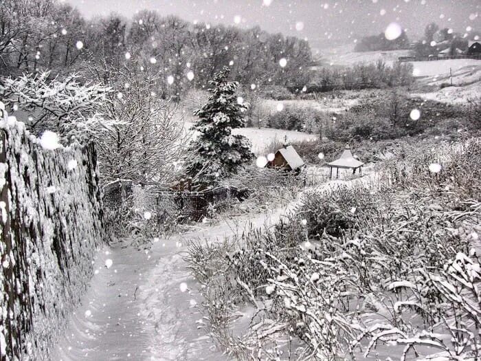 Свистит кружит метель. Снегопад в деревне. Падает снег в деревне. Зимняя деревня. Вьюга в деревне.