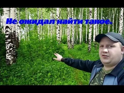 По тракту песня