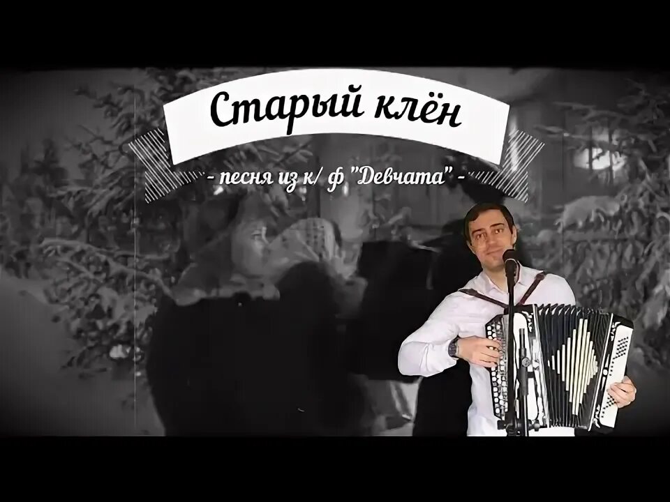 Песню со словами клен. Песни старый клен. Старый клен на баяне. Песни про клен.