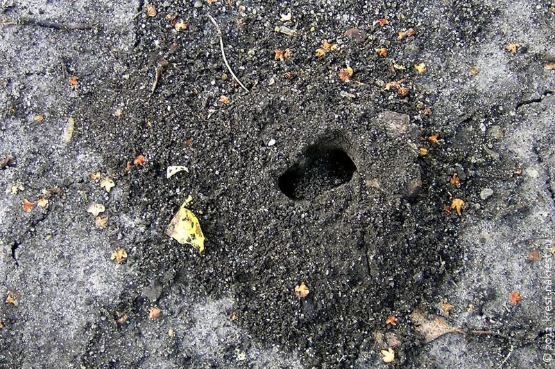 яма в земле. океанские кратеры. Mel's hole. дыра в пещере. S hole.