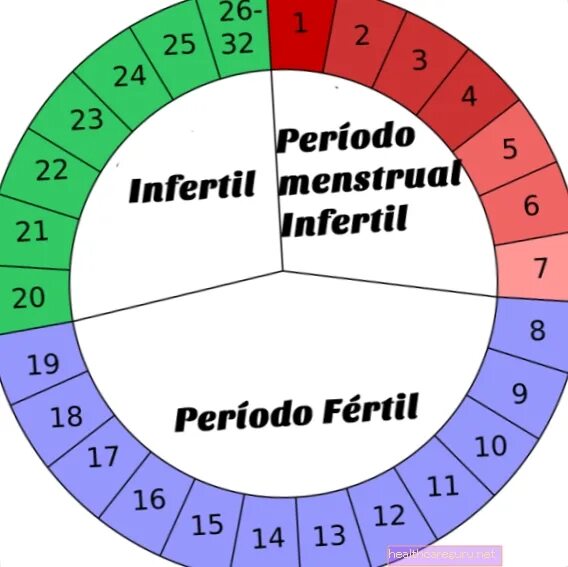 Фертильная фаза. Фертильные дни цикла. Фертильная женщина. Фертильные дни у женщин. Как рассчитать фертильный период.