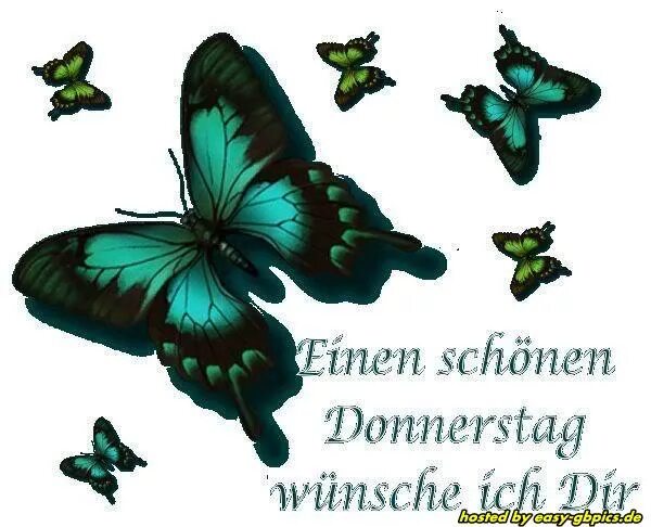 Birkenstockam donnerstag die ergebniserwartungen des urlaubsquartals. Donnerstag. Donnerstag картинки. Schönen Donnerstag картинки. Картинка Grune Donnerstag.