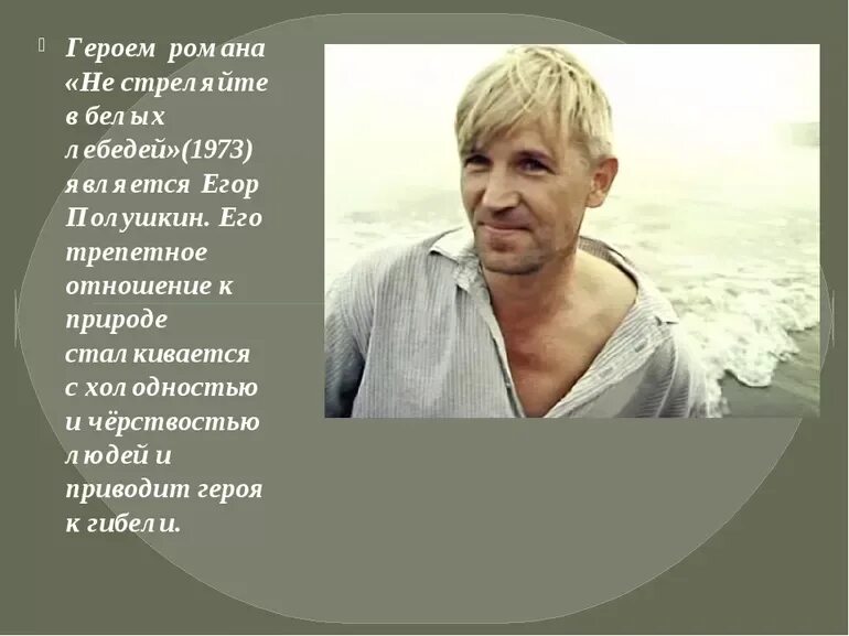 Борис васильев не стреляйте в белых лебедей. Аргумент к произведению васильев не стреляйте в белых лебедей. Б васильев не стреляйте в белых лебедей. Обложка книги не стреляйте в белых лебедей. Не стреляйте в белых аргумент.