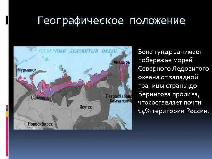 Какая зона располагается в самой северной части. Географическое положение тундры в России. Географическое положение тундры. Географическое положение зоны тундры. Тундра на карте России.