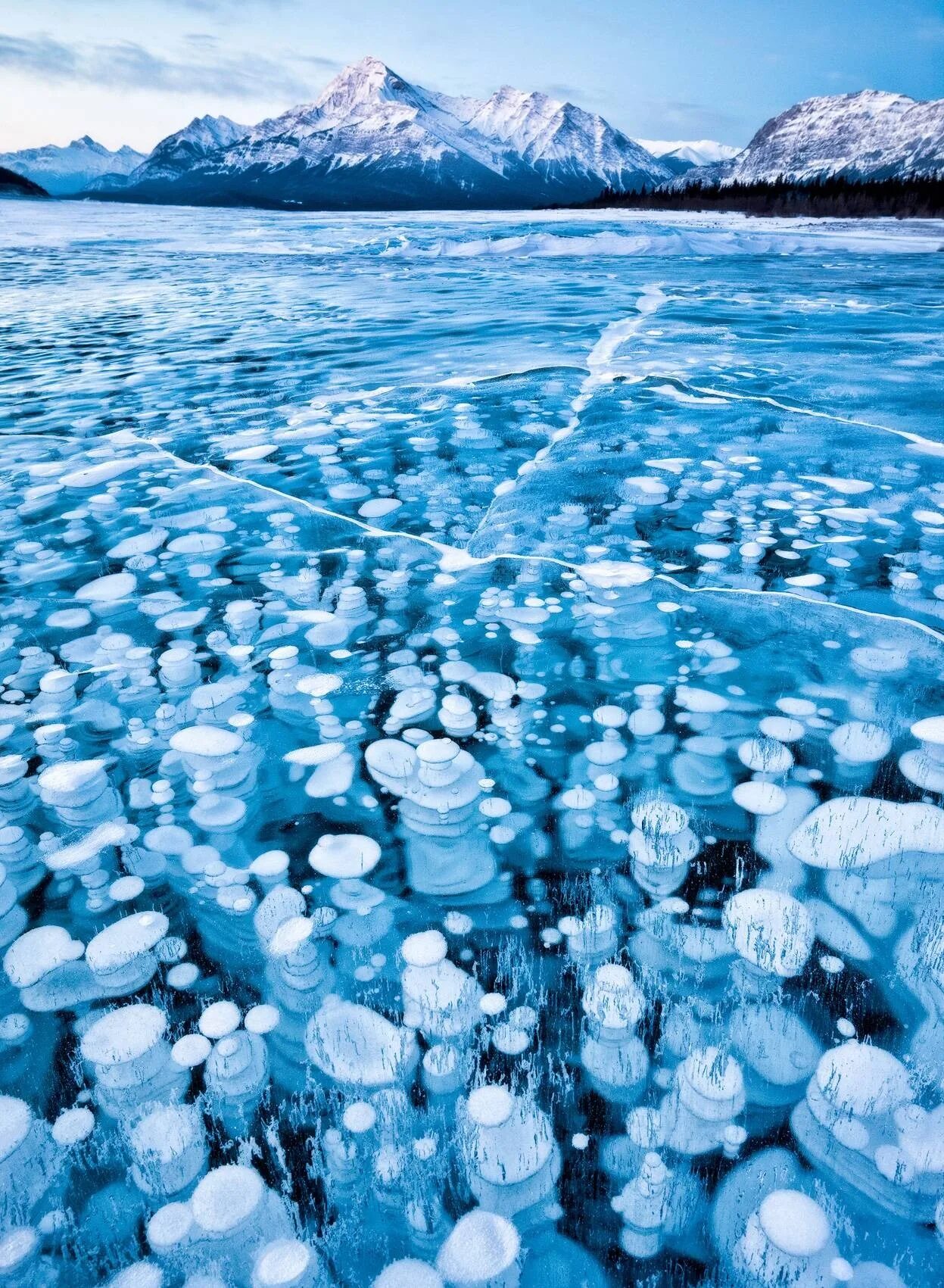 Пузырьки на байкале. Озеро Абрахам в Канаде. Ледяные пузыри озера Абрахам Канада. Метановые пузырьки на Байкале.