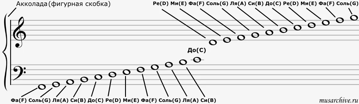 Басовый ключ Ноты 3 октавы. Басовый ключ расположение нот на фортепиано. Ноты второй октавы в басовом Ключе. Малая Октава на фортепиано в басовом Ключе. Басовый ключ пианино
