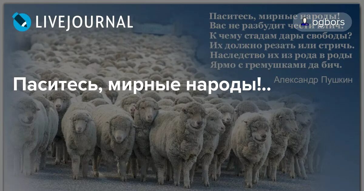 Шагают бараны бьют. Паситесь мирные народы стадо. Стадо людей. Человек животное стадное. Паситесь мирные народы Пушкин и стадо Баранов.