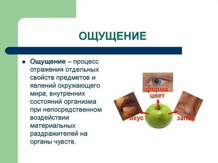 Правильное отражение свойств