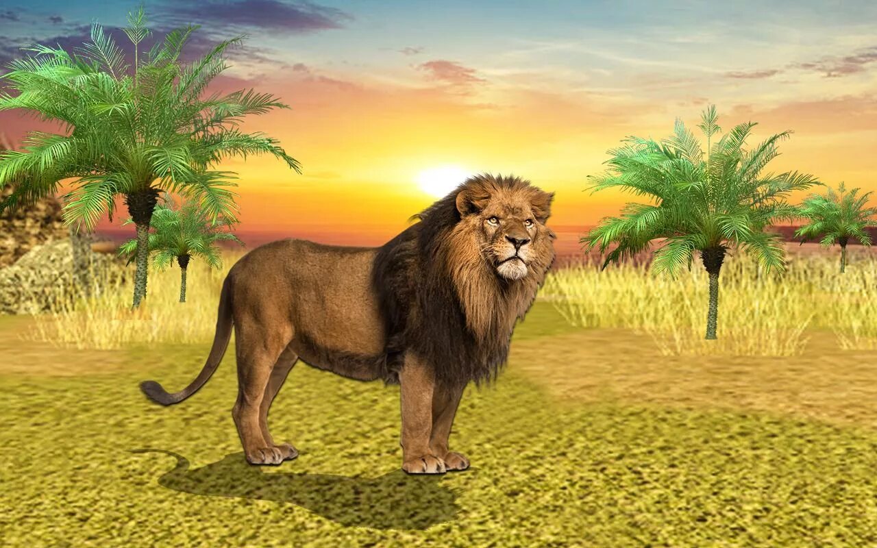 Лев игровые official lev spin site. Ультимейт лев симулятор. лев сафари симулятор. игры про львов. симулятор льва который в африке.