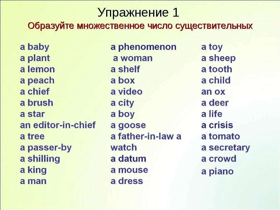 Слова множественного числа в английском языке. Числа сущ в английском. Множественное число сущ в английском языке. Образование мн числа сущ в английском языке. Образование множественного числа существительных 3 класс правило.
