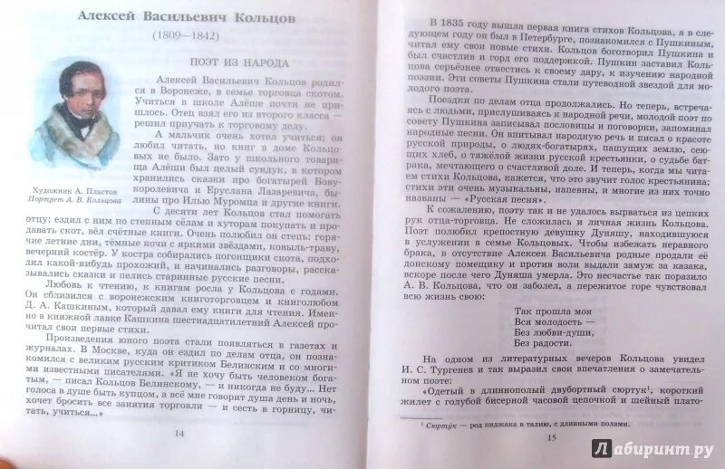 Учебник хрестоматия 5 класс Снежневская. Снежневская литература 5 класс. Литература 2 часть 5 класс Снежневская. Учебник по литературе 5 класс Снежневская.