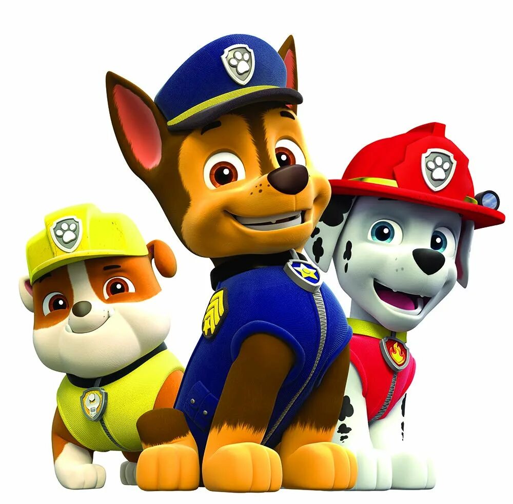 Щенячий патруль маршал гонщик. Гонщик Крепыш Маршал. Paw Patrol Крепыш. Щенячий патруль Маршал и гонщик. Щенячий патруль Маршал гонщик Крепыш Скай.