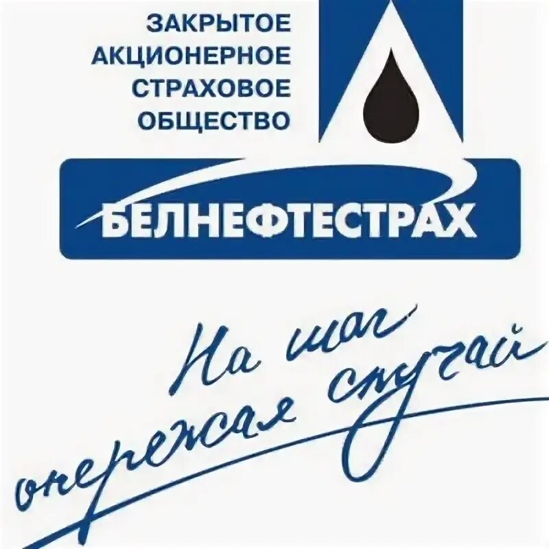 Белнефтестрах приложение. Белнефтестрах приложение