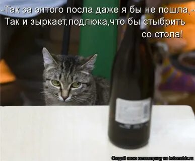 День прошедший впустую