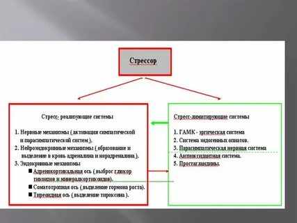 Факторы влияющие на уровень стресса