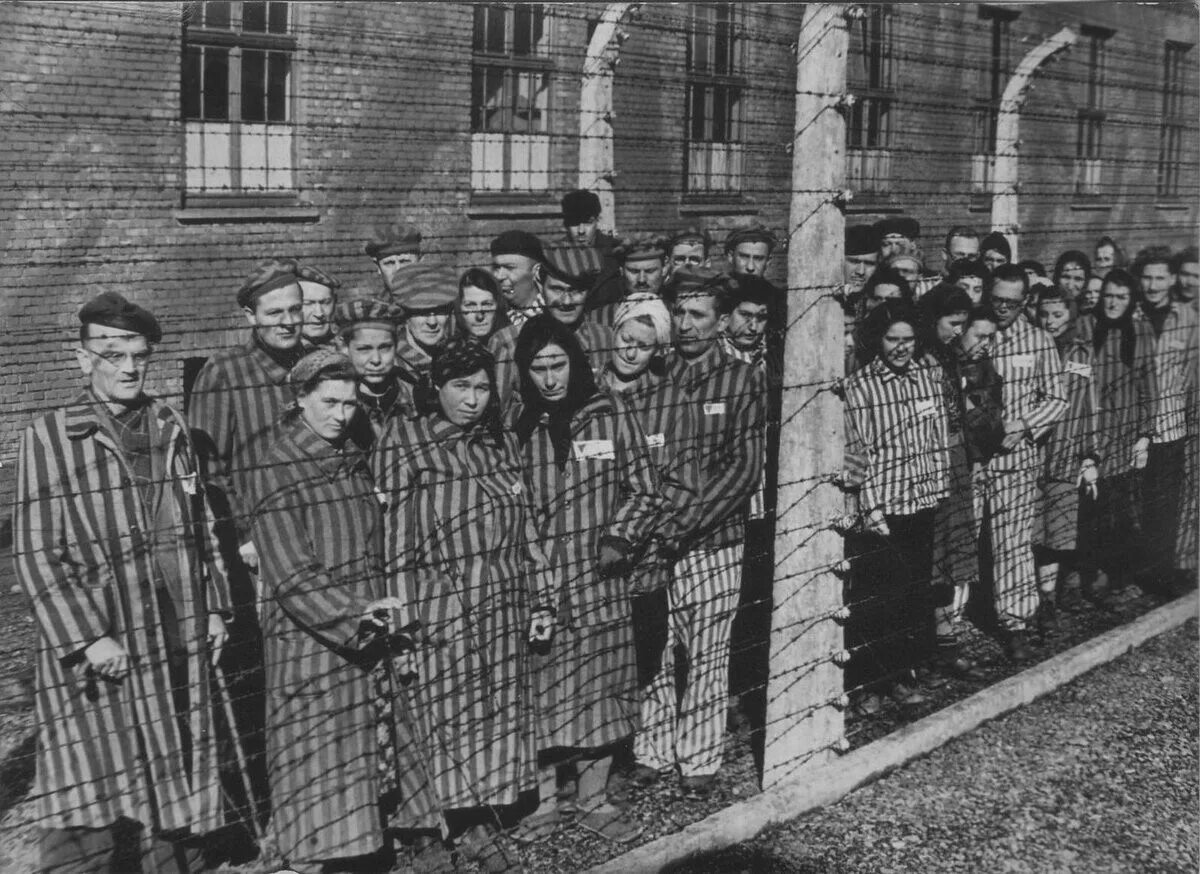 Концентрационный лагерь освенцим (auschwitz concentration camp), польша. Концентрационный лагерь аушвиц-биркенау освенцим. Узники освенцима…. Общество узников. Освобождение лагеря аушвиц.