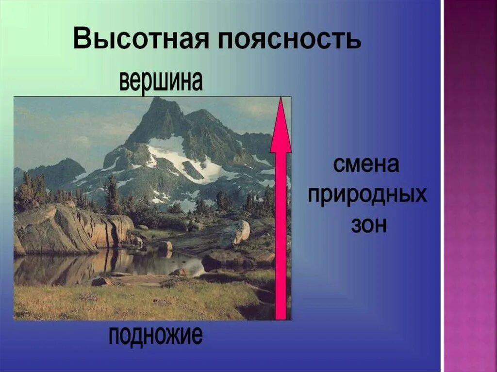 Выявить различия структуры высотной поясности горных систем. Высотная поясность это в географии 7 класс. Высотная поясность в горах. География 8 Высотная поясность Кавказа. Высотная поясность презентация.