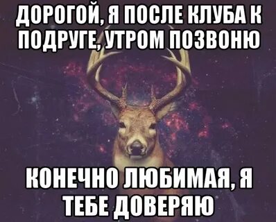 Утром позвони