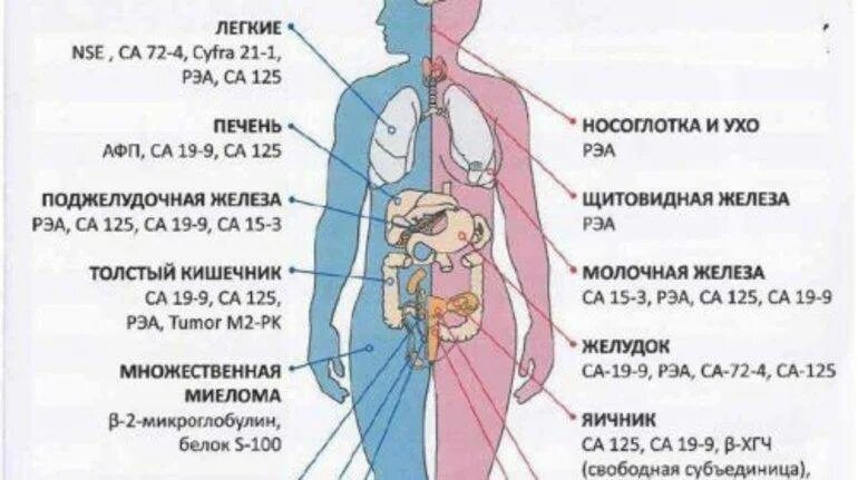 Сама 19 9