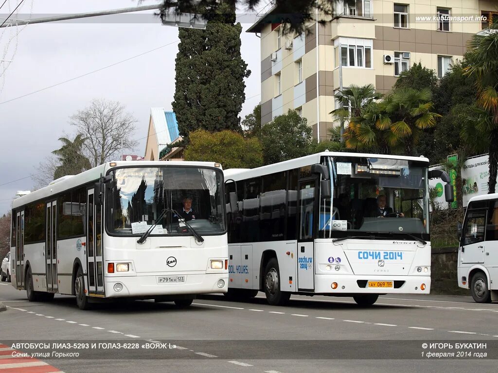 ГОЛАЗ-6228 Вояж l. Сочи Мамайка ЛИАЗ. ГОЛАЗ 6228 Вояж Мострансавто. ЛИАЗ 5293 Сочи. Сайт автобусов сочи