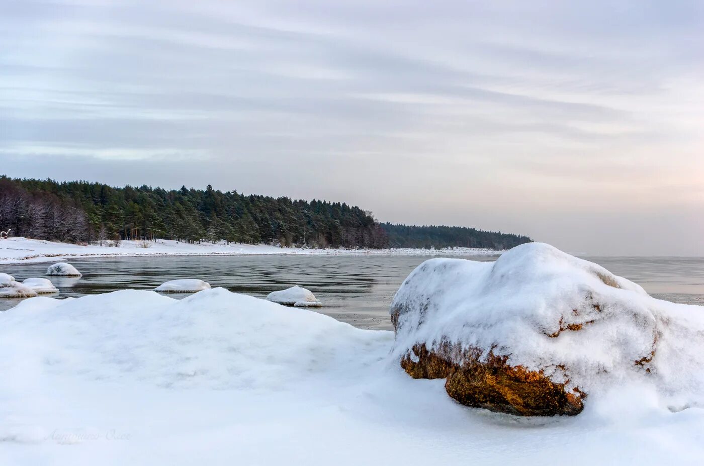 Финляндия январь. Финский залив Репино зима. Море зимой. Берег финского залива в снегу. Пейзажи финского залива красивые.