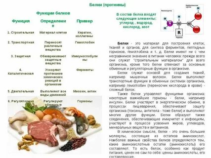 Белок в пищевых продуктах это
