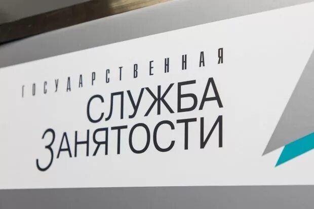 Сайт центр занятости волгоград. Волгоградская служба занятости. биржа труда волгоград. вакансии центра занятости волгоград. биржа труда волгоград вакансии.