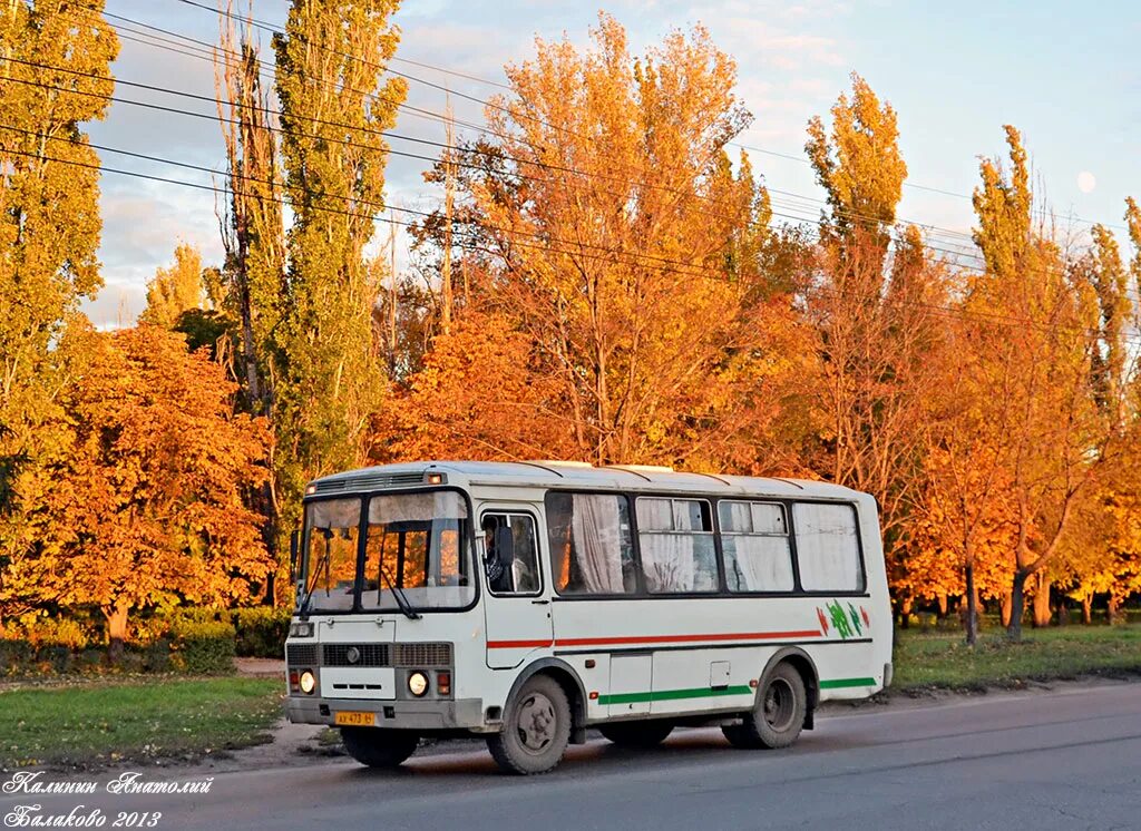 Саратов пазик 37а. Альтерна-4216 в Саратове. Диско ПАЗ Саратов. Купить ПАЗ Саратов. Ах б 0 х