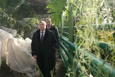 Ботанический сад ростов на дону