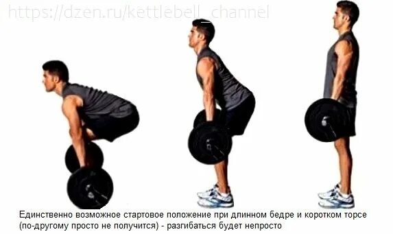 Становая тяга техника выполнения для женщин. Становая с согнутыми ногами. Тяга на полусогнутых ногах. Румынская тяга техника. Положение румынской тяги.
