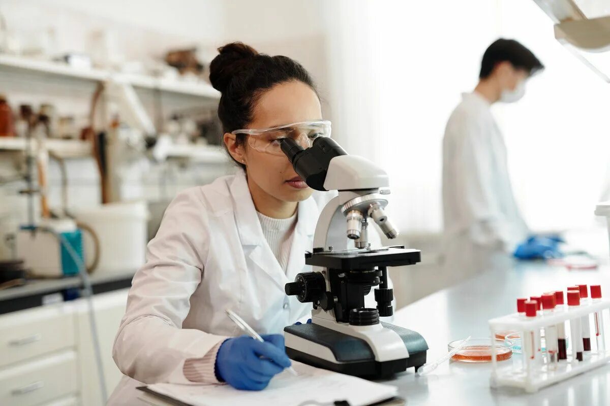 Where is laboratory