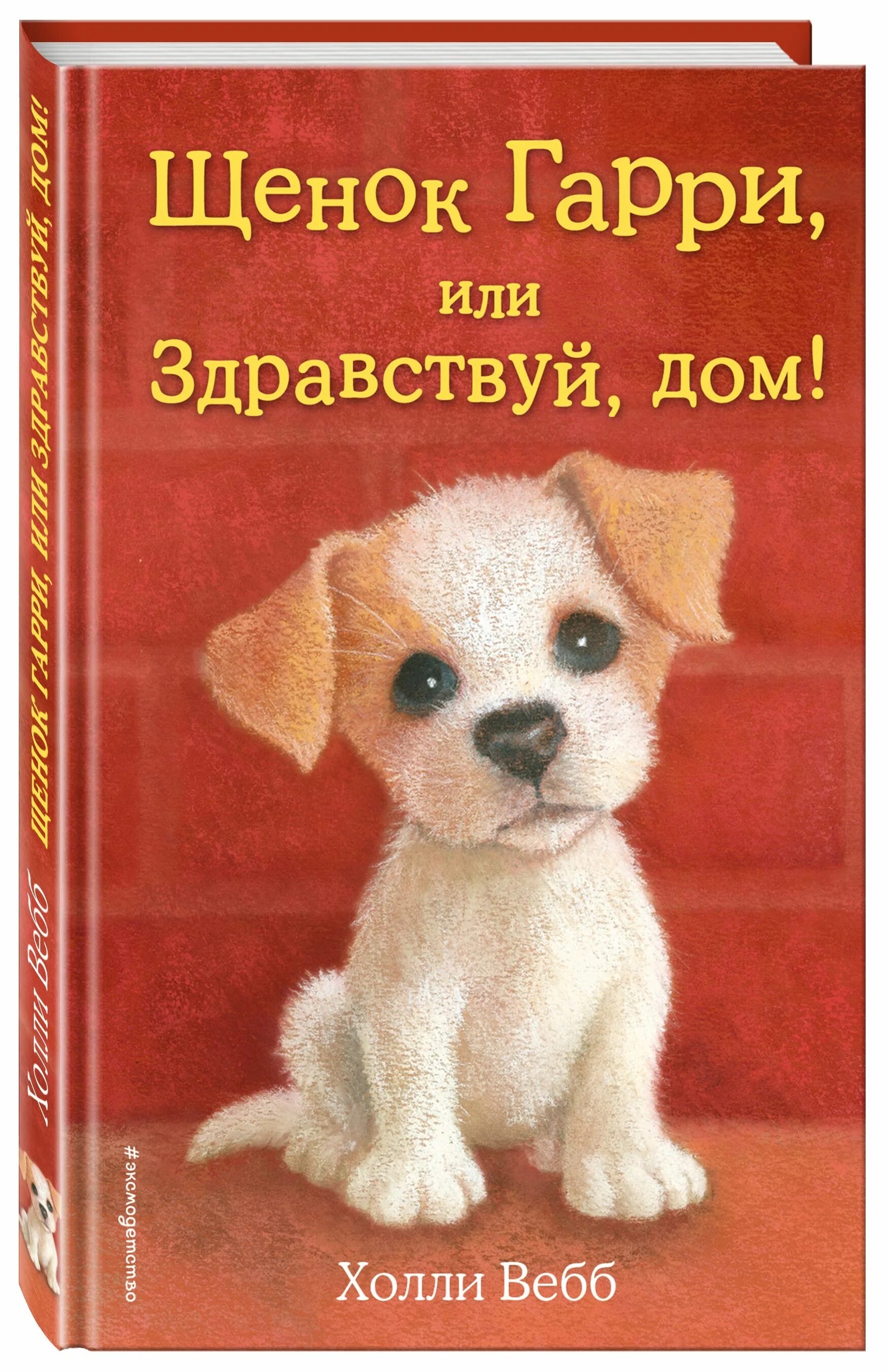 Книга щенок. Щенок гарри или здравствуй дом холли вебб книга. холли вебб щенок гарри. холли вебб щенок монти. щенок гарри или здравствуй дом щенок гарри книжка.
