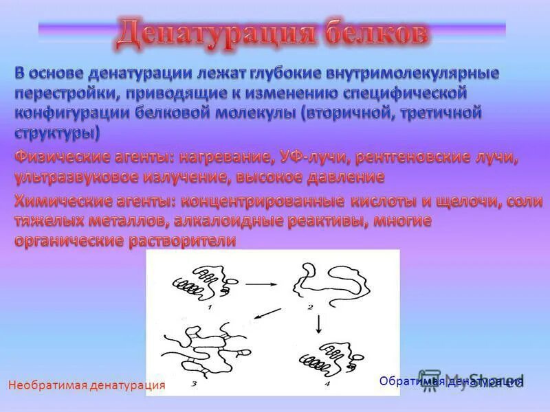Определение функции в алгебре. Выполняемая функция короткого. Функции управления могут быть. Выполняемая функция короткого. Выполняемая функция короткого.