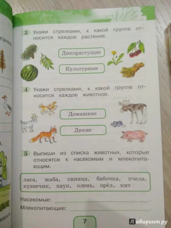 Поглазова окр мир. Окружающий мир тестовые задания. Тестовые задания по окружающему миру 2 класс Поглазова. Окружающий мир 1 класс Гармония. Окружающий мир тестовые задания 2 класс.