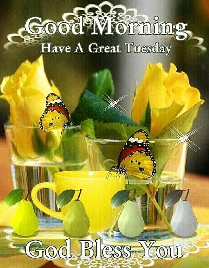 Come on tuesday. Have a good tuesday. доброе утро вторника. on tuesday morning. have a good afternoon.