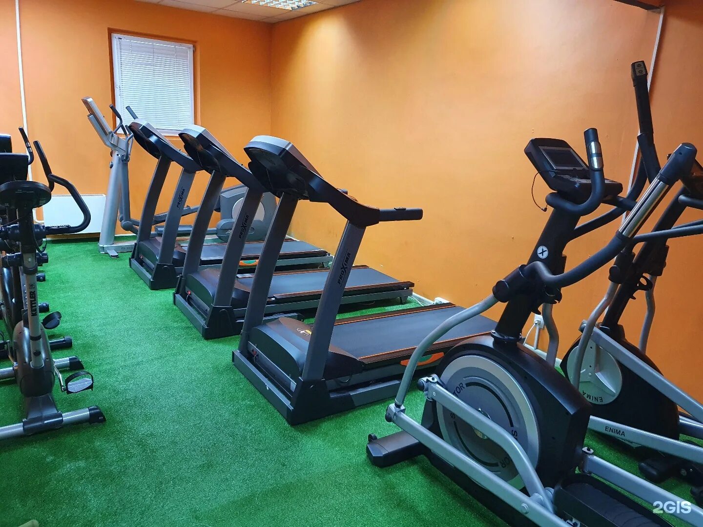 Спортзал wildsport. Фитнес хаус ленинский проспект 160. Армада сургут. Спортзал wildsport курск. Армада астрахань спортклуб.