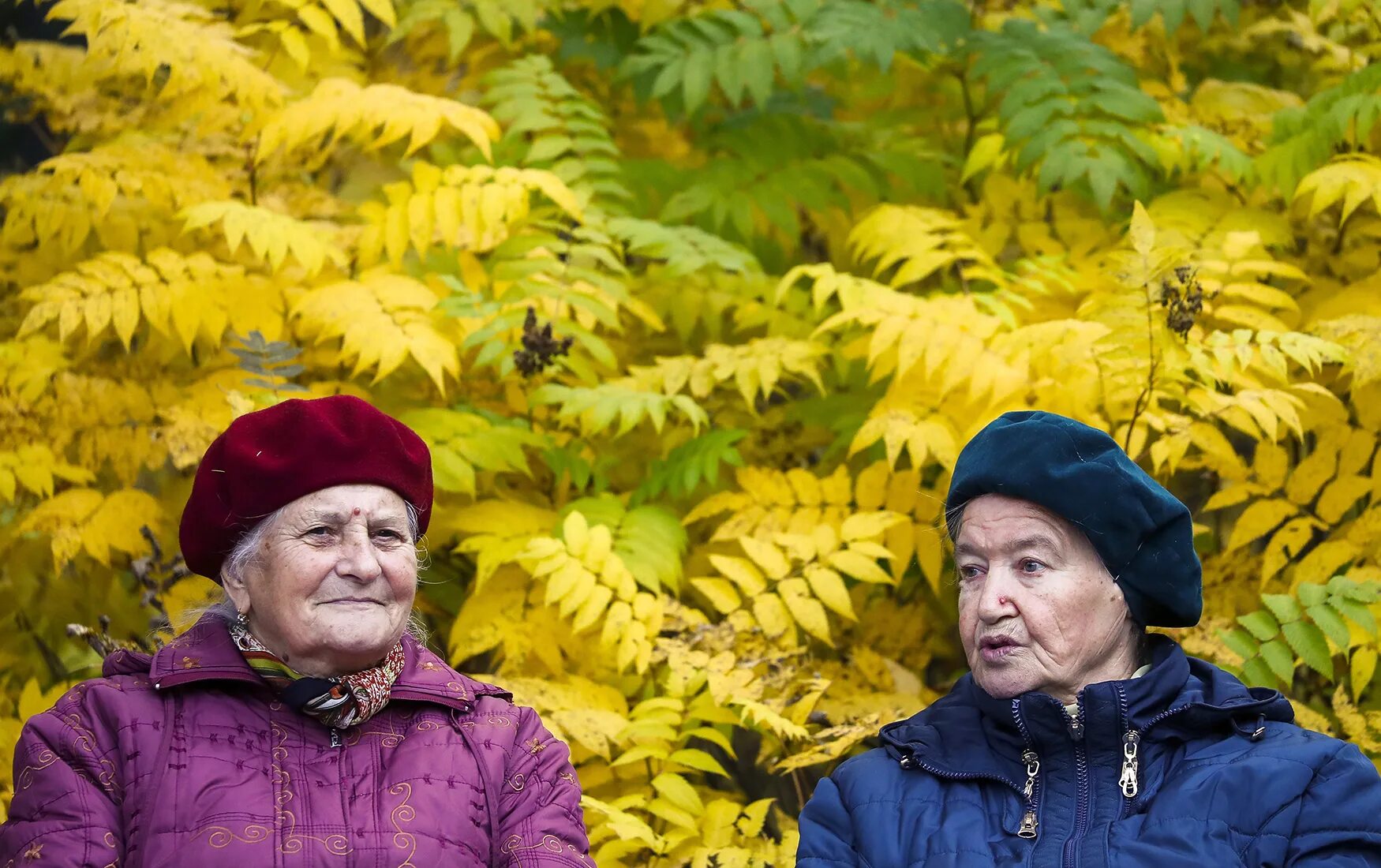 Пожилые после ковида. Пожилые люди в России. Фото пенсионеров России. Пенсионеры на лавочке. Пожилые люди осень.