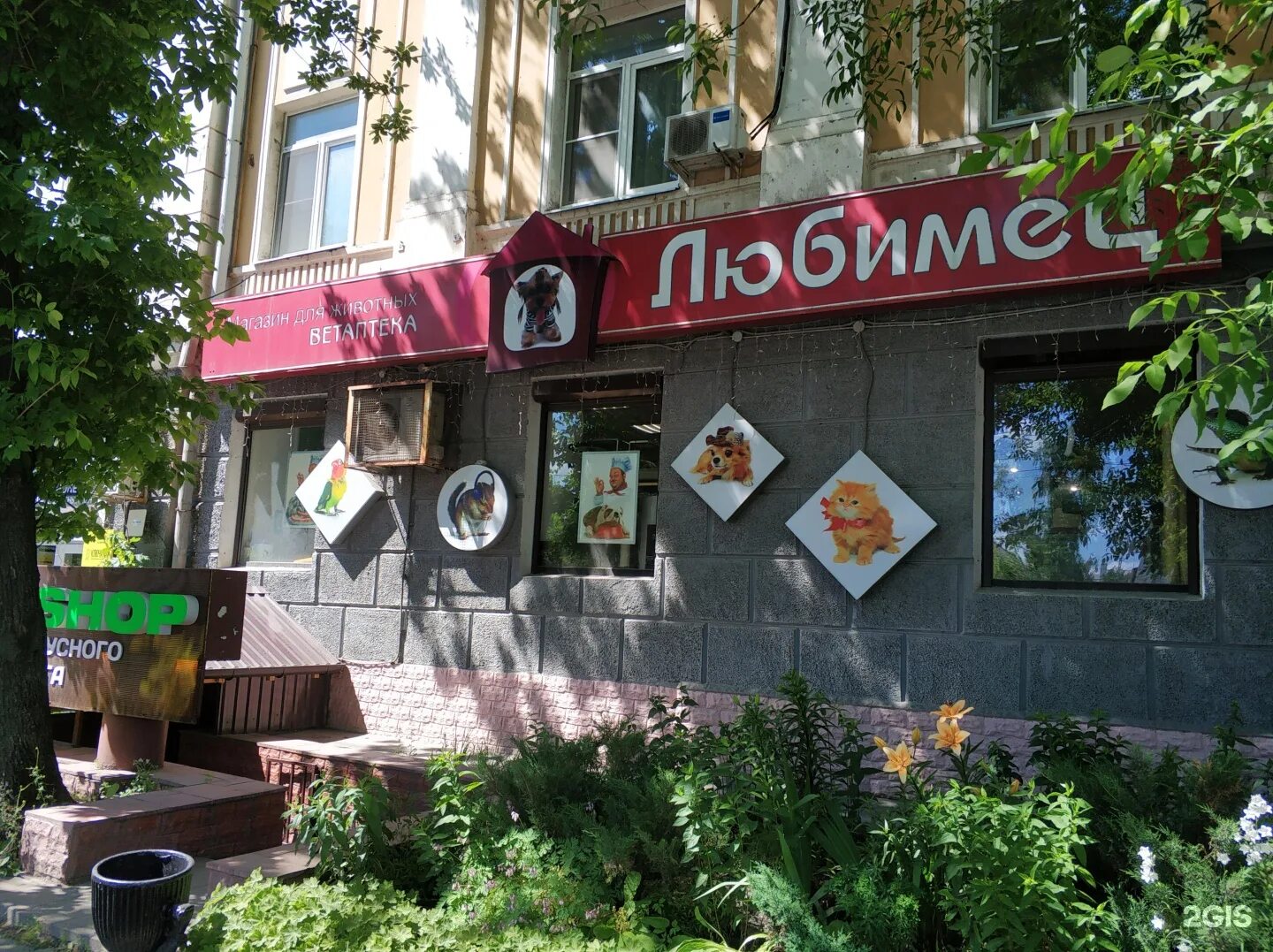 Любимчик комсомольская ул 28 фото Любимцы, зооветцентр на Комсомольском проспекте в Люберцах, Москва отзывы, фот