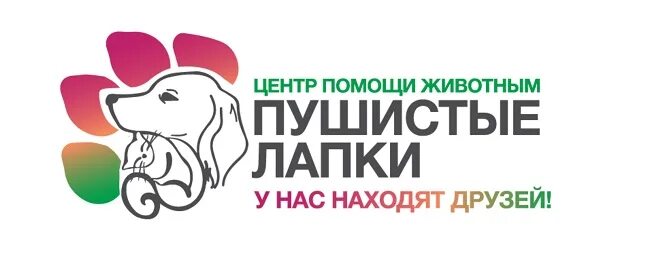Программа помощи животного. Благотворительность для животных. приют для животных пушистые лапки. фонд помощи животным. акция помощь животным.