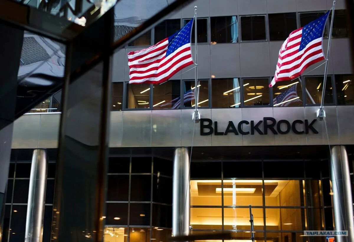 Blackrock компания. Blackrock компания логотип. Blackrock логотип. Blackrock компания. Blackrock директора.
