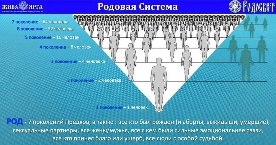 Сколько есть поколений. Семь поколений предков. 7 Поколений рода схема. Сила семи поколений предков. Влияние семи поколений предков на судьбы потомков.