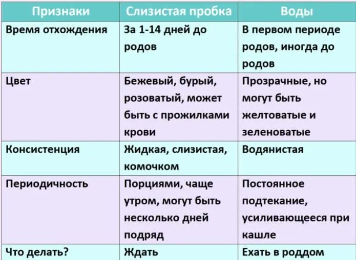 Отошли воды 38 недель. Отхождение вод и пробки перед родами. Что такое отошла пробка у беременных.