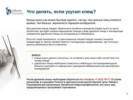 Если укусил клещ какие таблетки нужно
