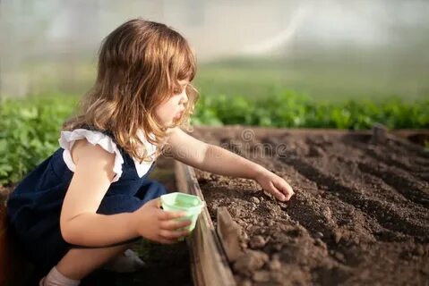 My sister work in the garden