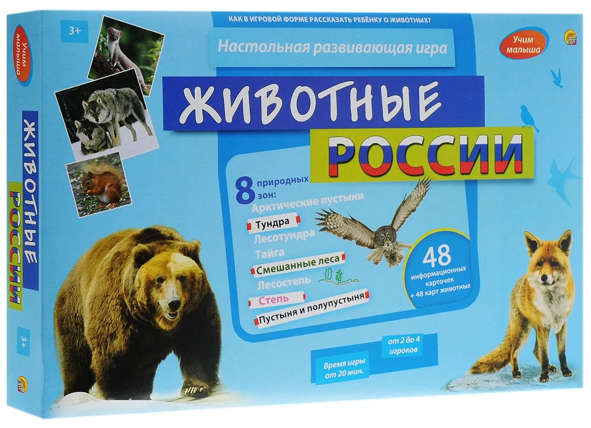 Настольные игры рыжий кот