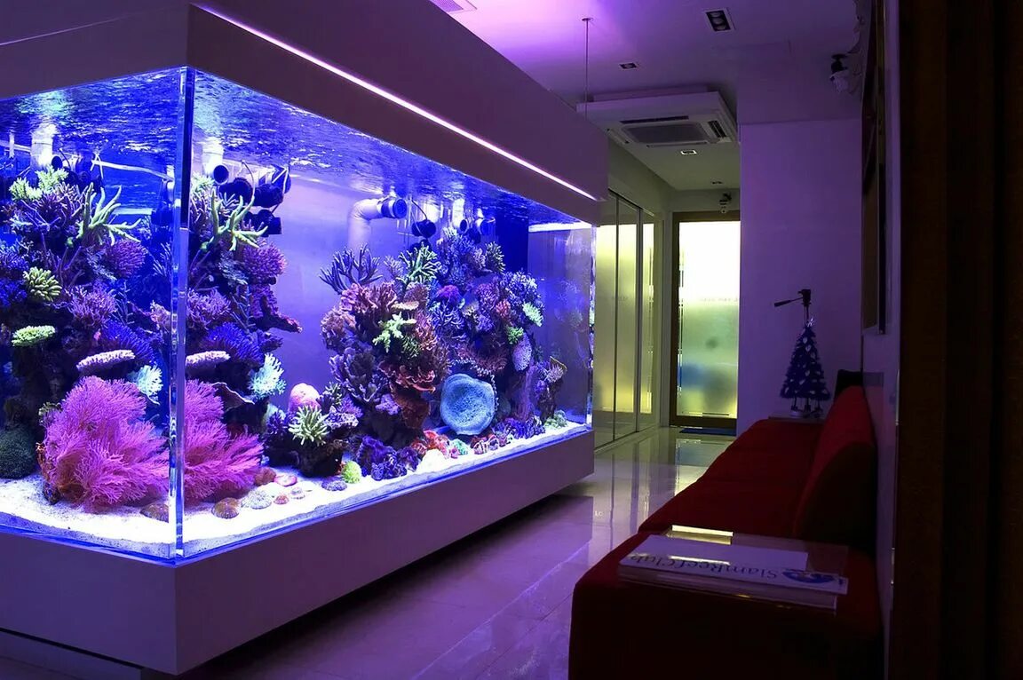 Аквариум aquarium. Аквариум. Красивые аквариумы. Морской аквариум. Большие рыбки для аквариума.