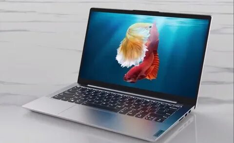 Xiaoxin pro
