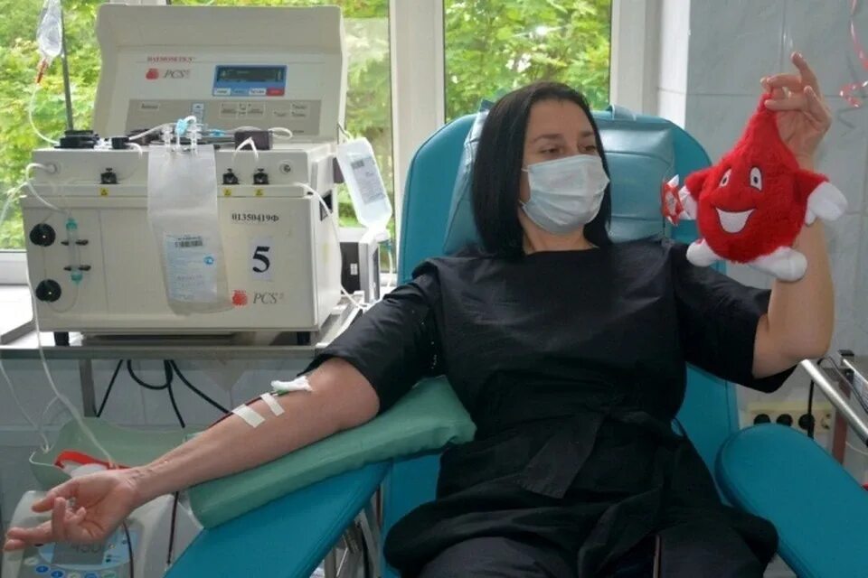 Стану донором почки. Донар. Донорство красный крест. Донор ищет девушки. Донорство ооцитов.