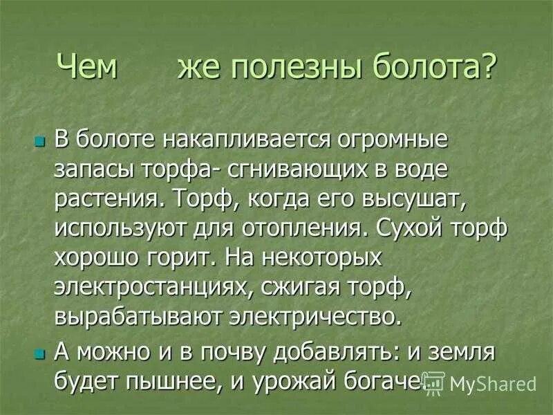 Что может быть в болоте