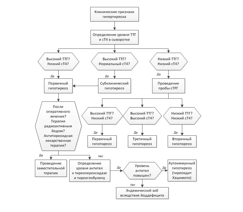 Ттг повышен что делать. Алгоритм диагностики врожденного гипотиреоза у детей. Алгоритм диагностики гипотиреоза схема. Повышенный ТТГ симптомы. Алгоритм диагностики тиреотоксикоза.
